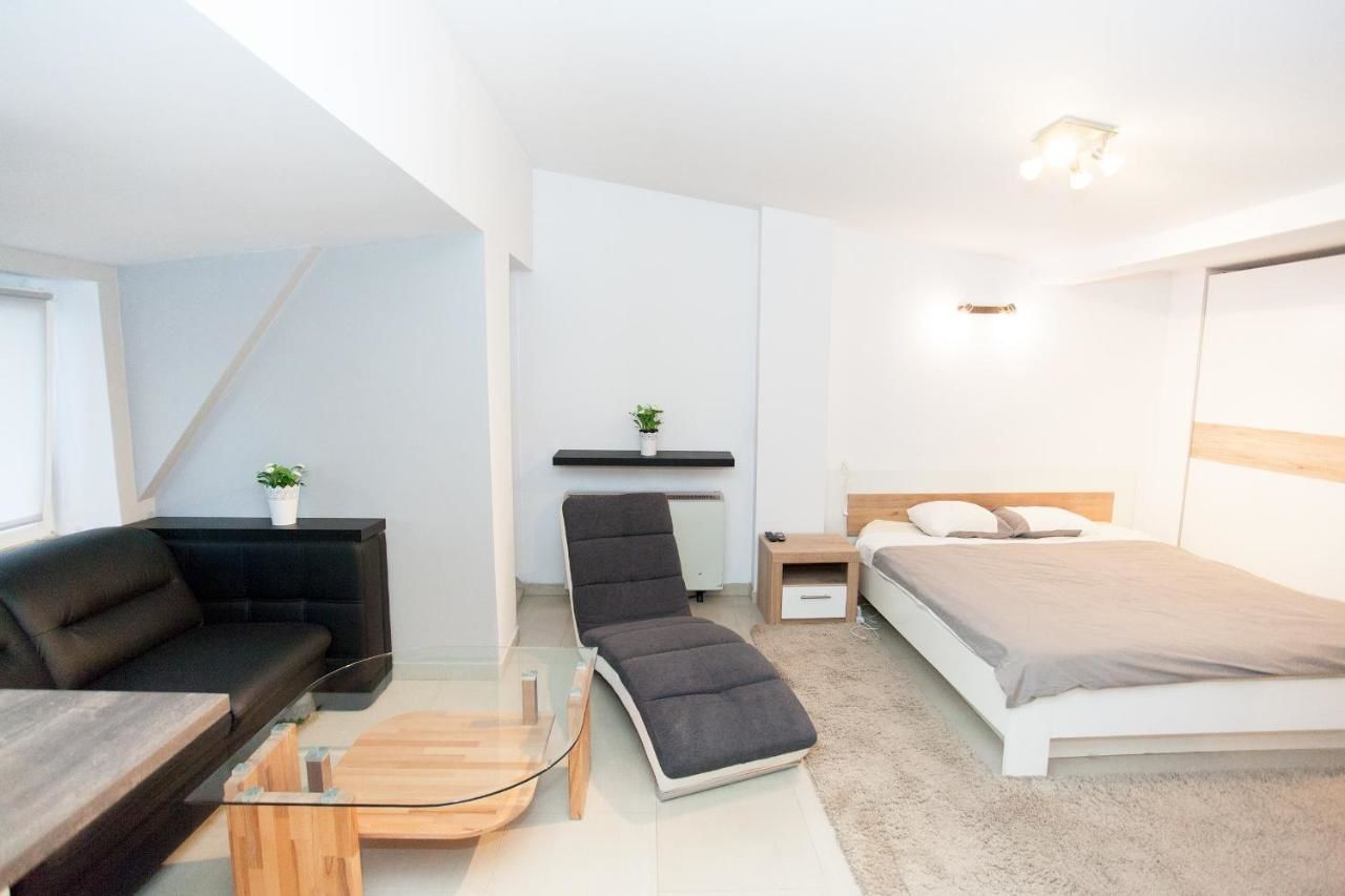 Апартаменты Studio Apartament Centrum Katowice Катовице-41