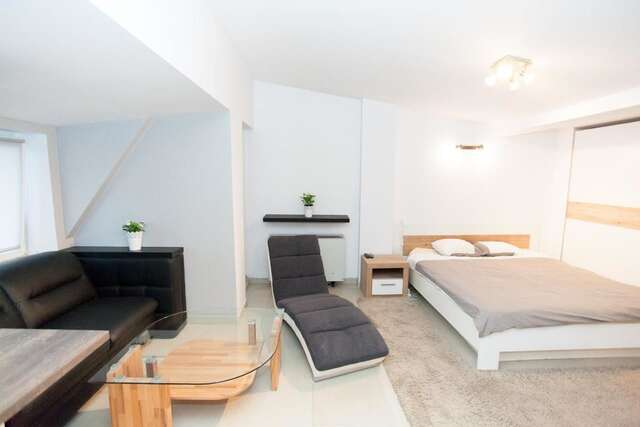 Апартаменты Studio Apartament Centrum Katowice Катовице-40