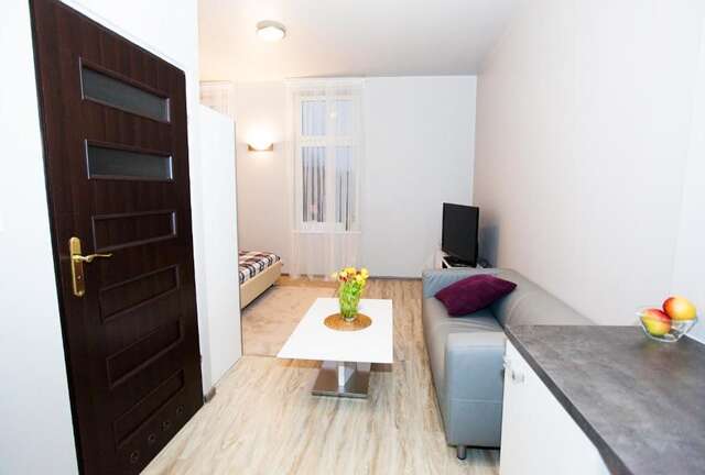 Апартаменты Studio Apartament Centrum Katowice Катовице-79